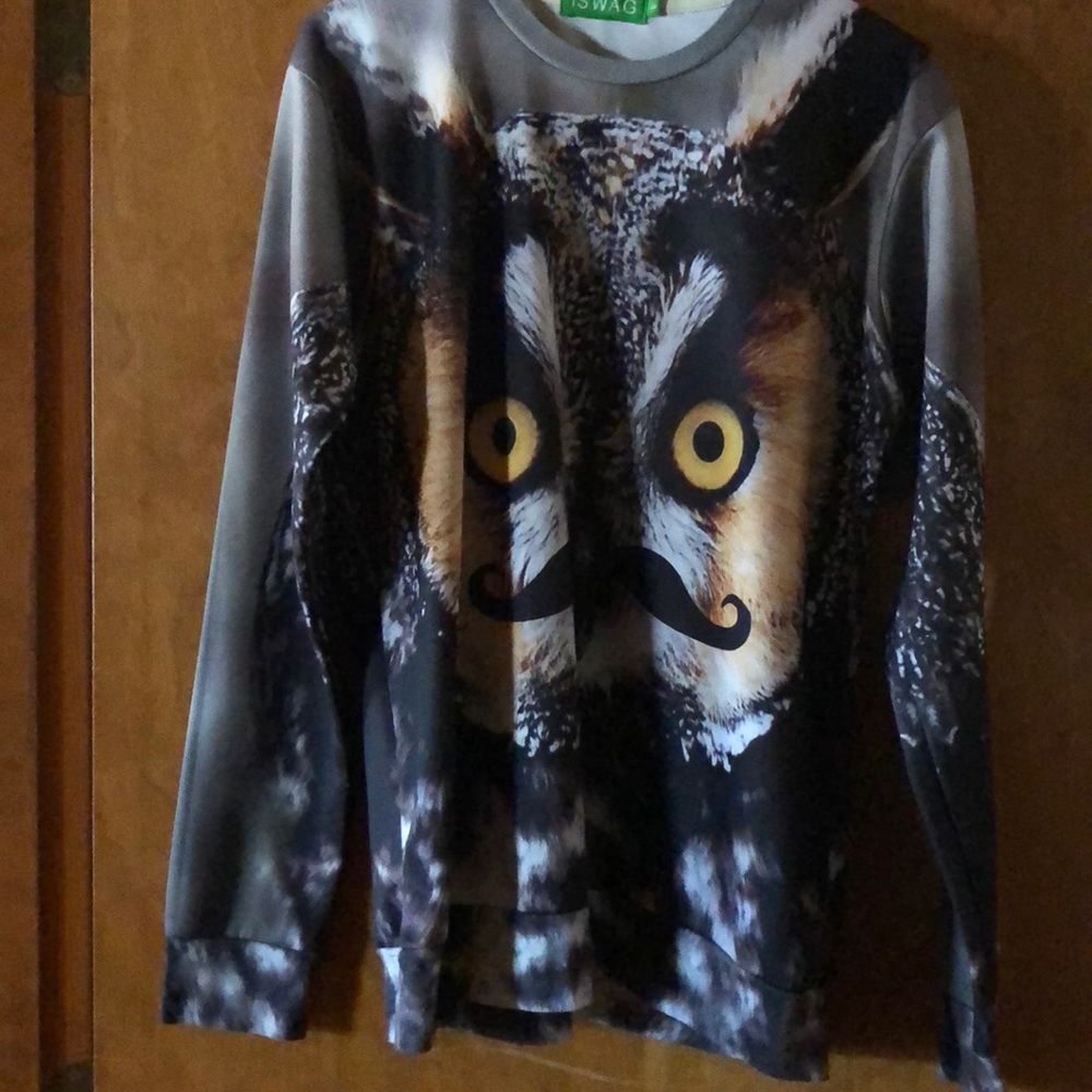 Owl sweater with free angel aura quartz